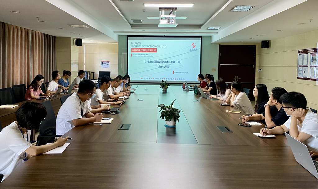 太阳成微电召开首期BPM专项培训交流会